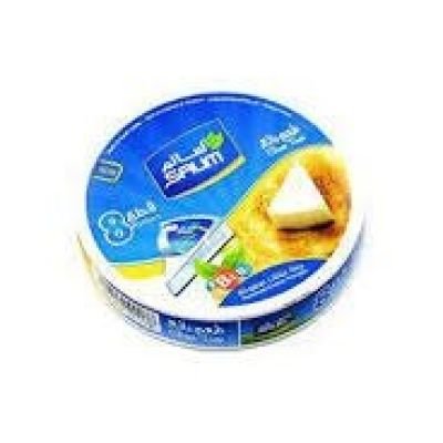 جبنة مثلثات سالم 36×120 جم